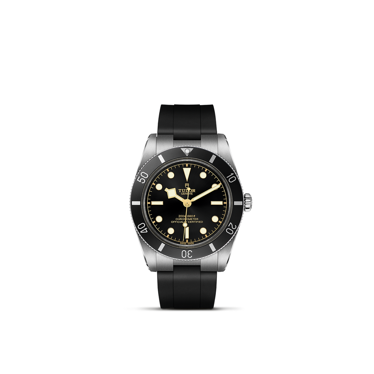 Tudor Black Bay 54 — photo 1 of 5
