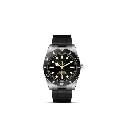 Tudor Black Bay 54 — photo 1 of 5