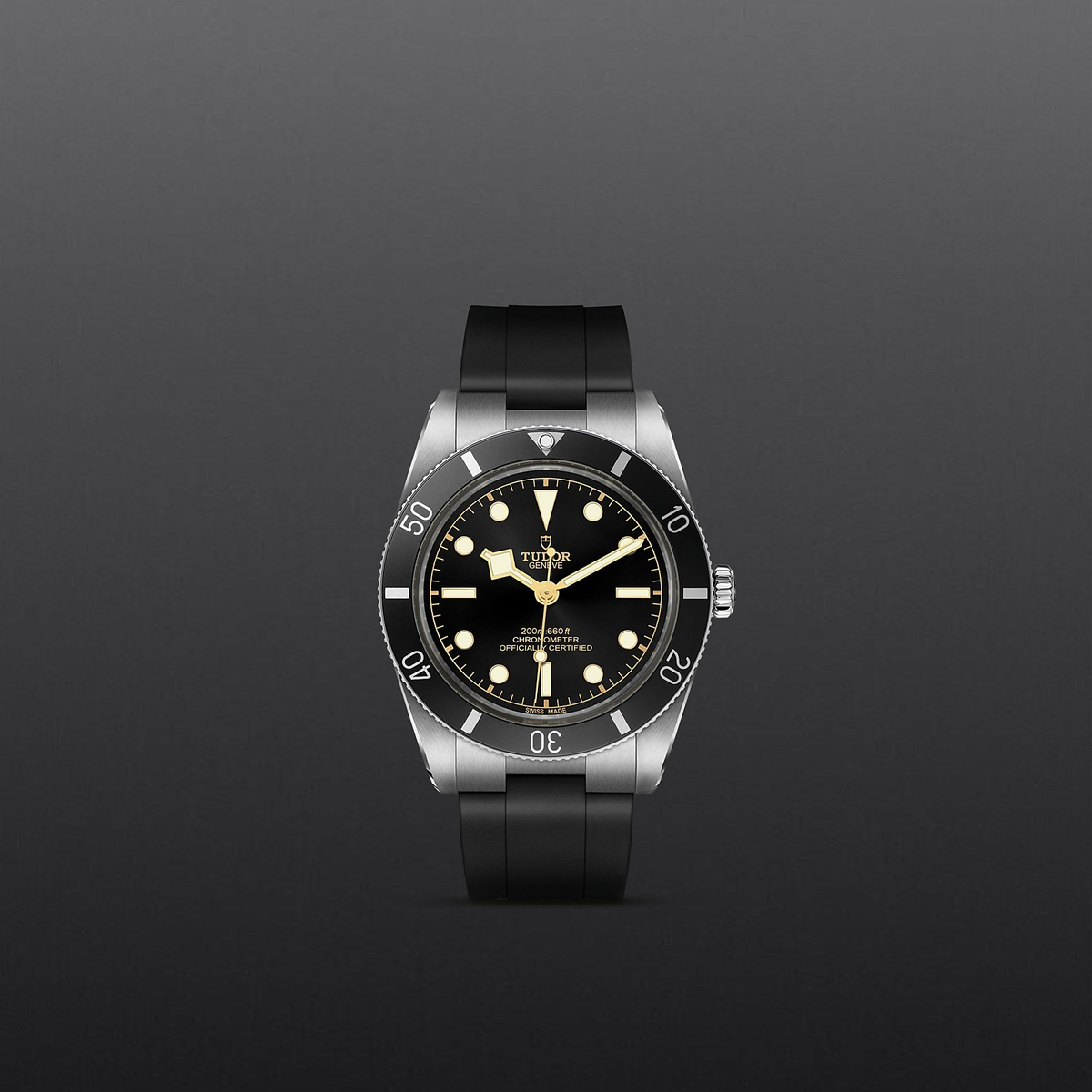 Tudor Black Bay 54 — photo 2 of 5