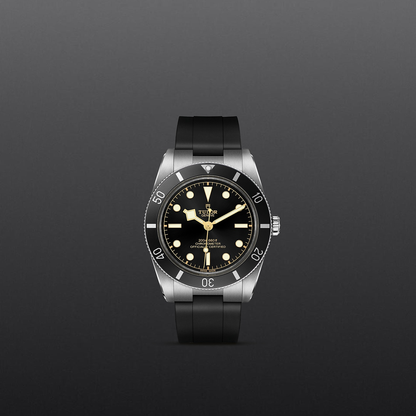 Tudor Black Bay 54 — photo 2 of 5