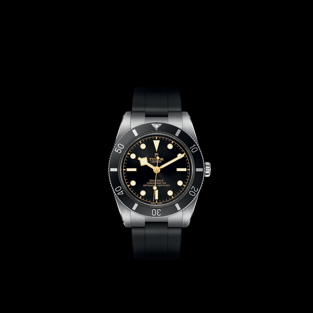 Tudor Black Bay 54 — photo 3 of 5
