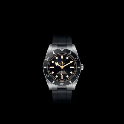 Tudor Black Bay 54 — photo 3 of 5