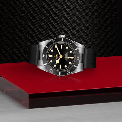 Tudor Black Bay 54 — photo 4 of 5