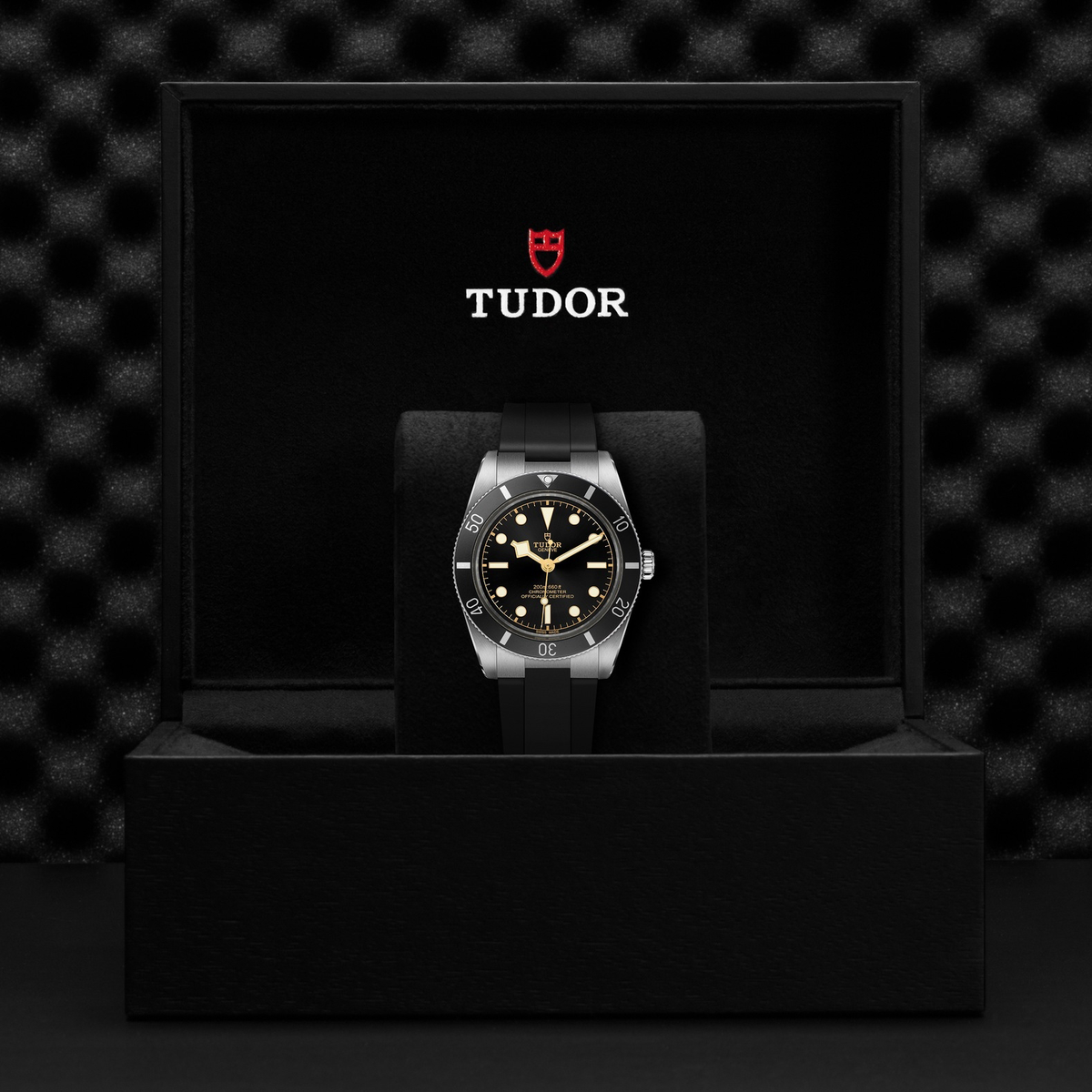 Tudor Black Bay 54 — photo 5 of 5