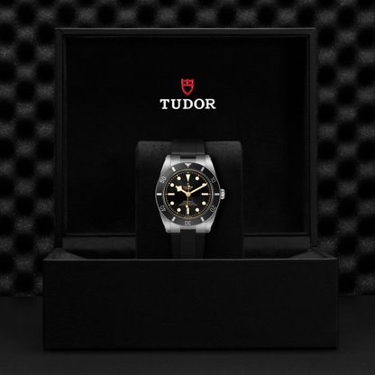 Tudor Black Bay 54 — photo 5 of 5