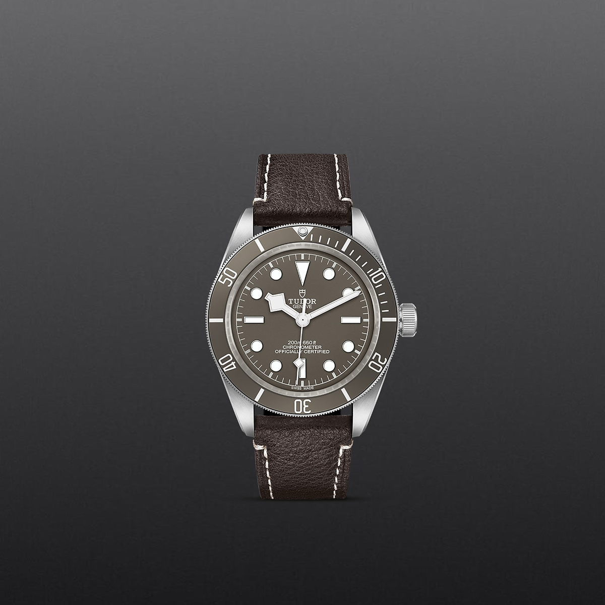 Tudor Black Bay 58-925 — photo 2 of 5