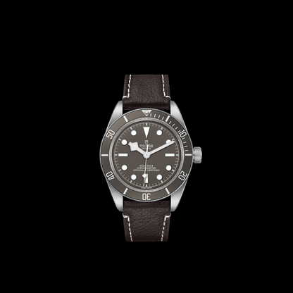 Tudor Black Bay 58-925 — photo 3 of 5