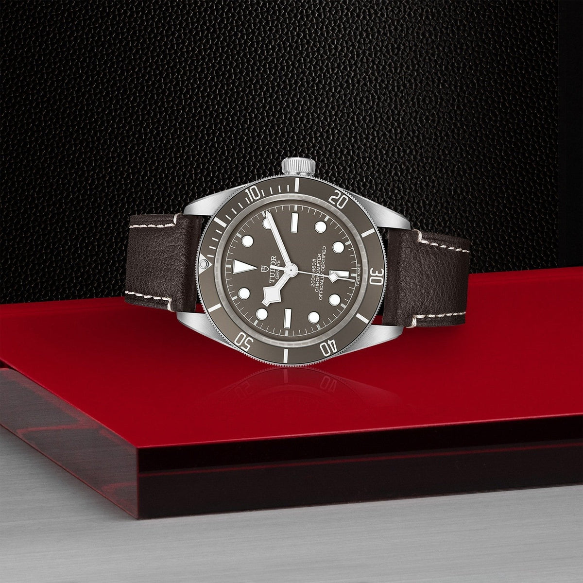 Tudor Black Bay 58-925 — photo 4 of 5