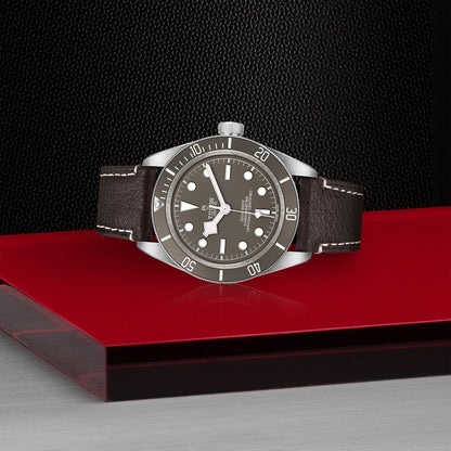 Tudor Black Bay 58-925 — photo 4 of 5