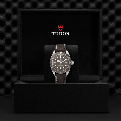 Tudor Black Bay 58-925 — photo 5 of 5