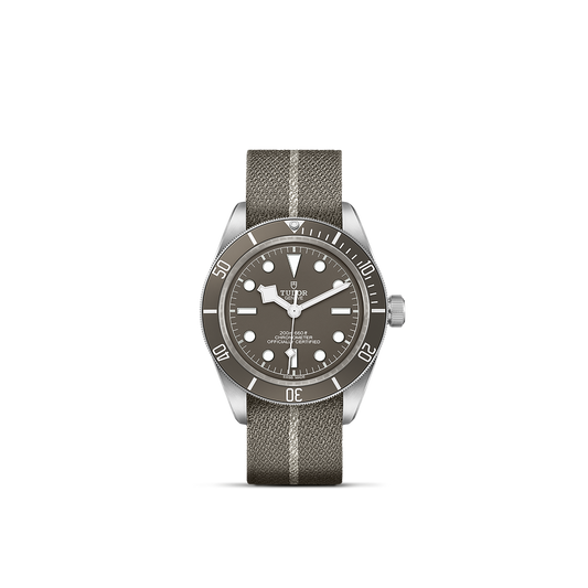 Tudor Black Bay 58-925 — photo 1 of 5