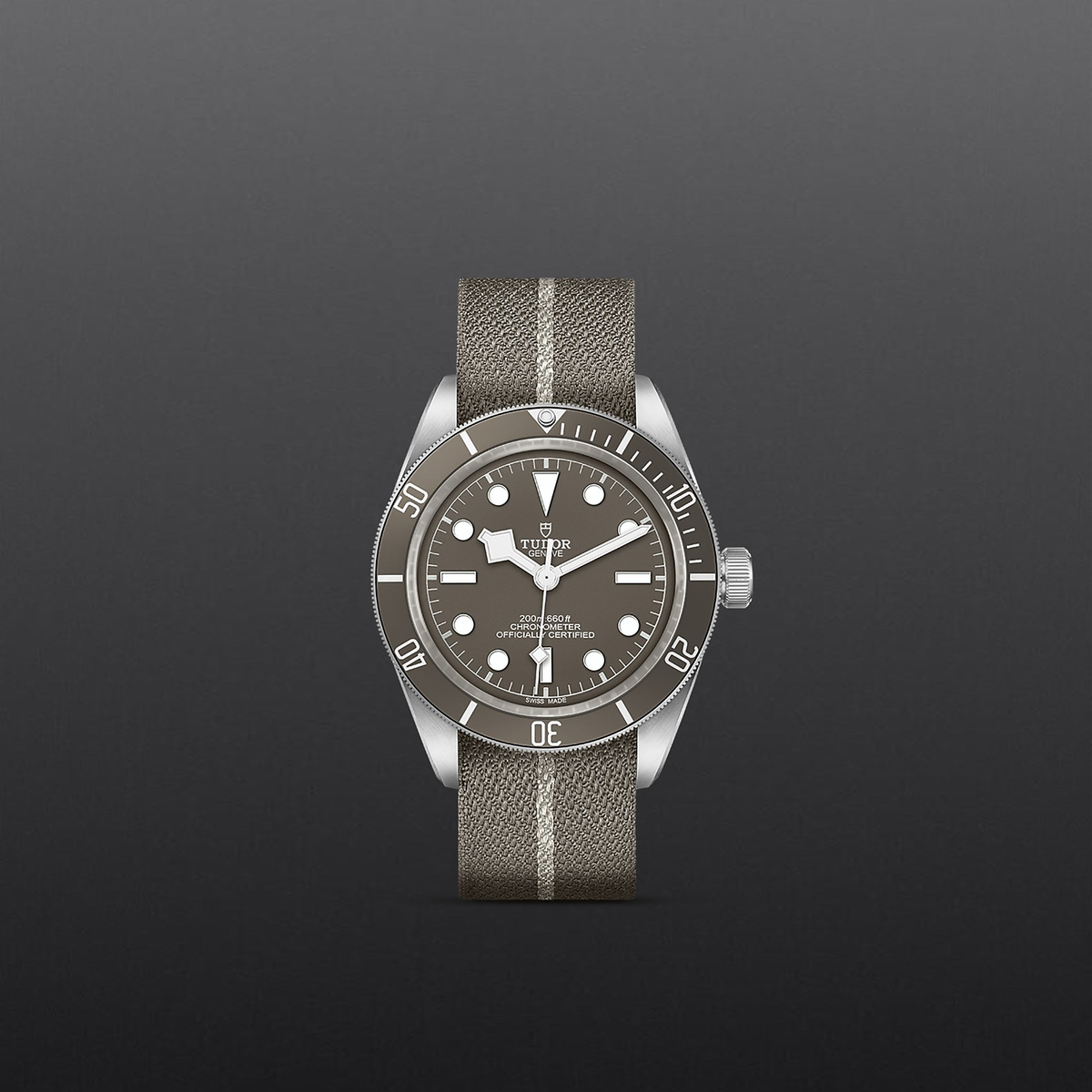 Tudor Black Bay 58-925 — photo 2 of 5