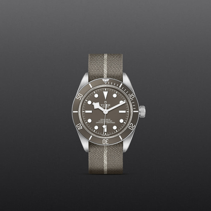 Tudor Black Bay 58-925 — photo 2 of 5