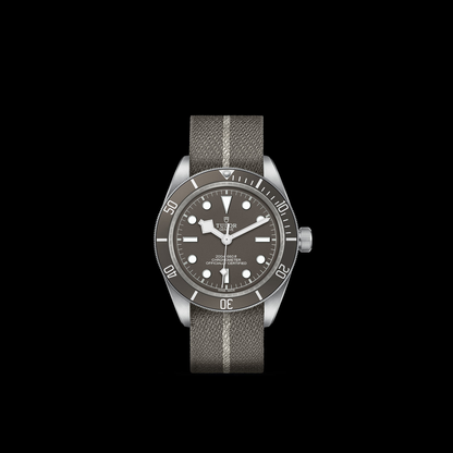 Tudor Black Bay 58-925 — photo 3 of 5