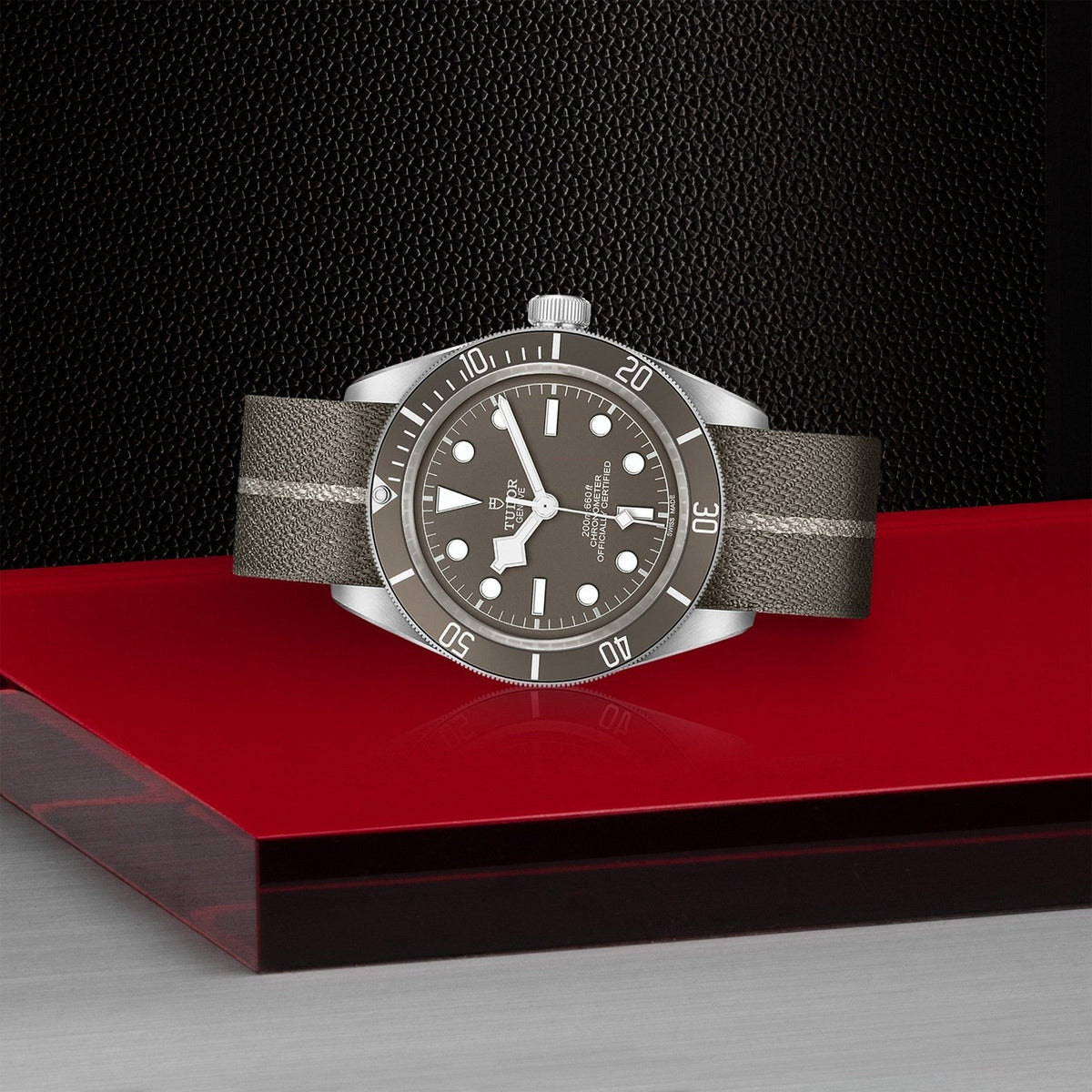 Tudor Black Bay 58-925 — photo 4 of 5