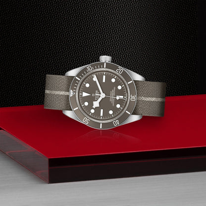 Tudor Black Bay 58-925 — photo 4 of 5