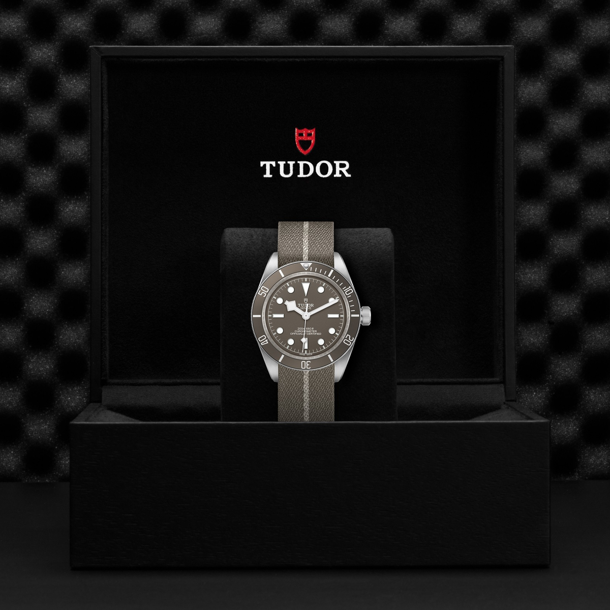 Tudor Black Bay 58-925 — photo 5 of 5