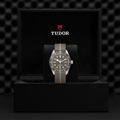 Tudor Black Bay 58-925 — photo 5 of 5
