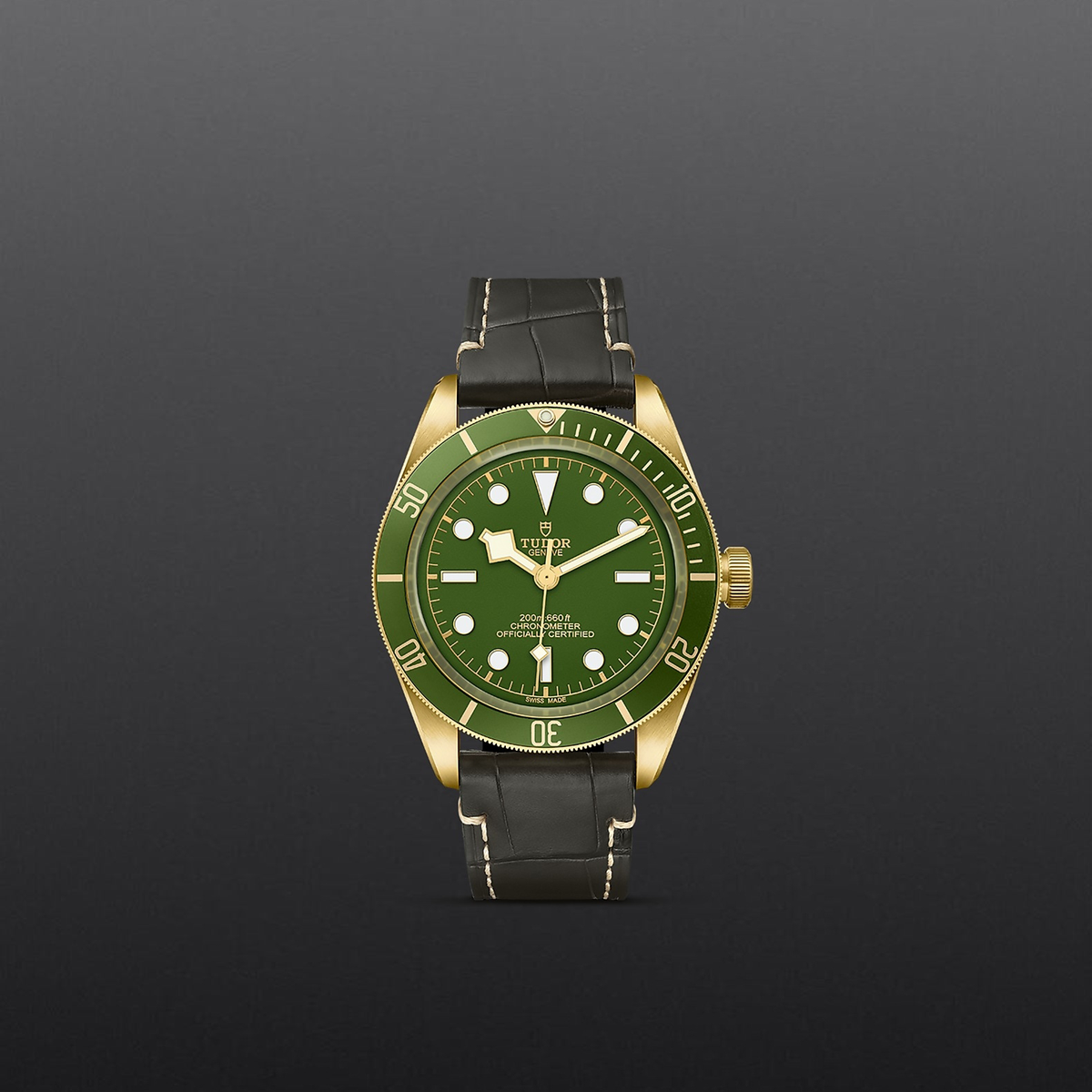 Tudor Black Bay 58 18K — photo 2 of 5