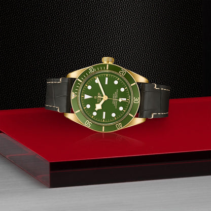 Tudor Black Bay 58 18K — photo 4 of 5