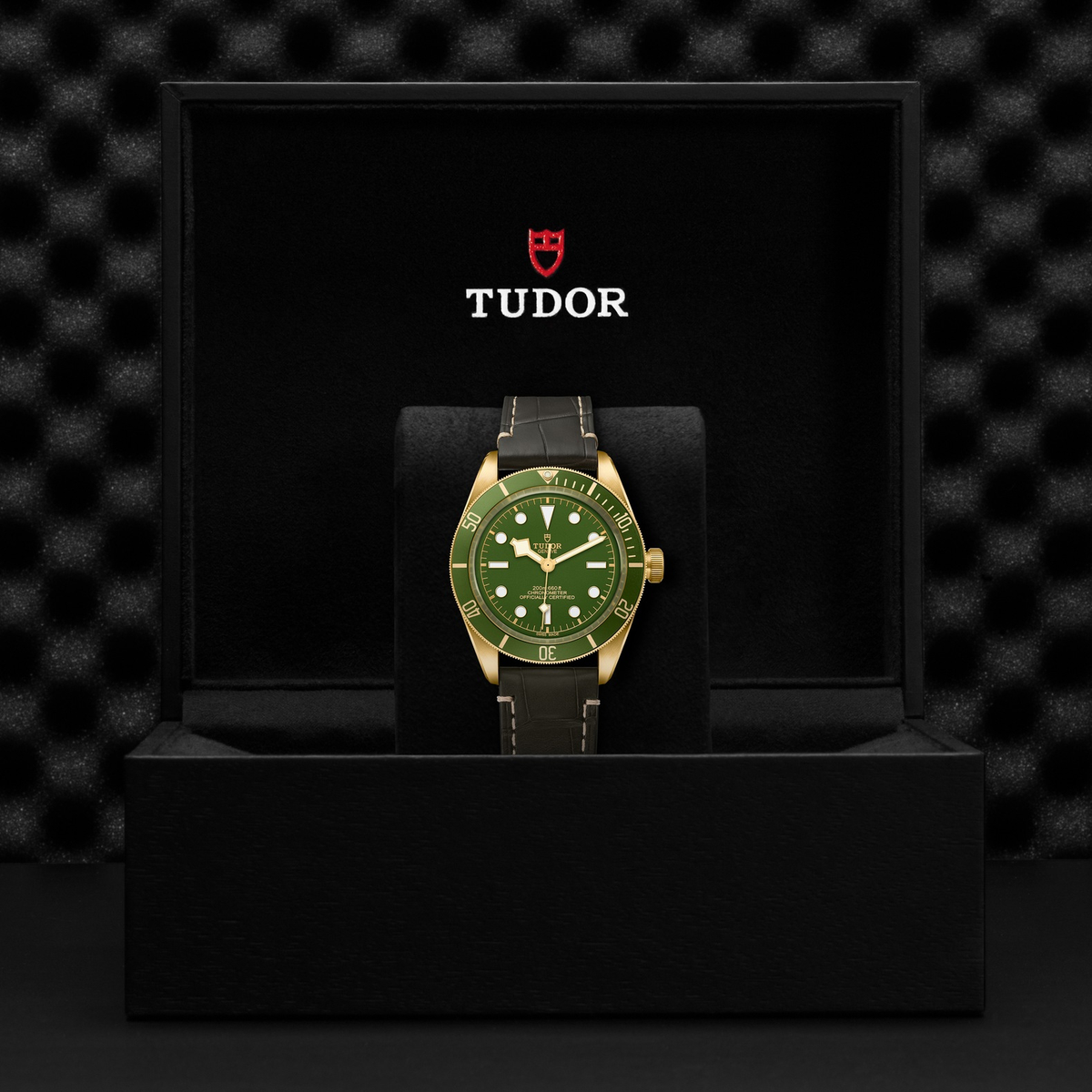 Tudor Black Bay 58 18K — photo 5 of 5
