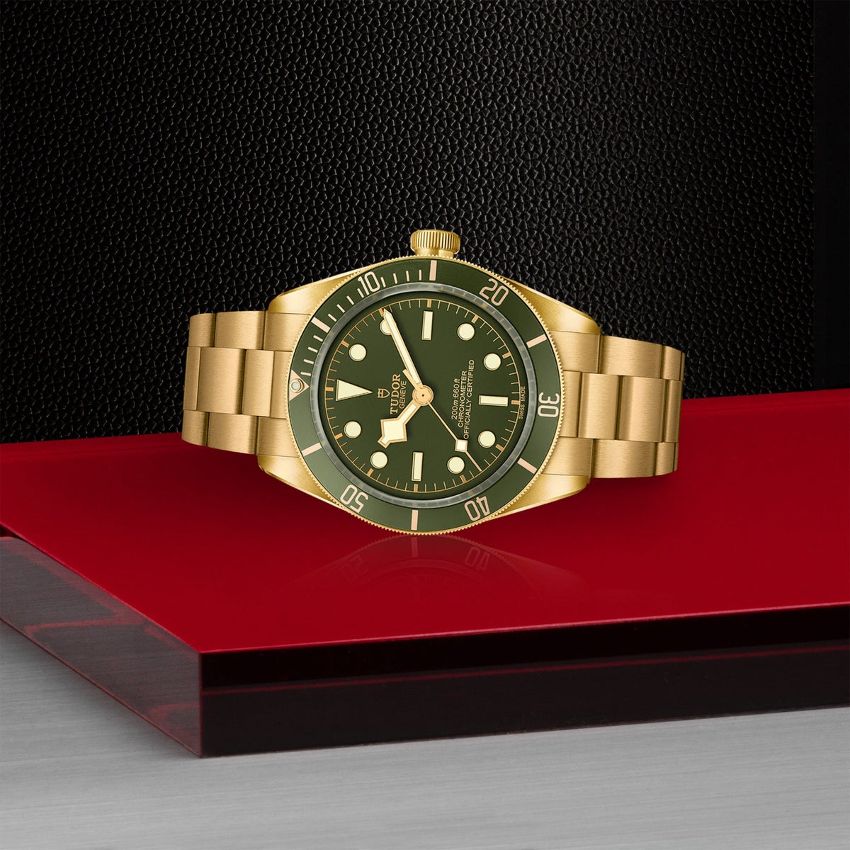 Tudor Black Bay 58 18K — photo 4 of 5