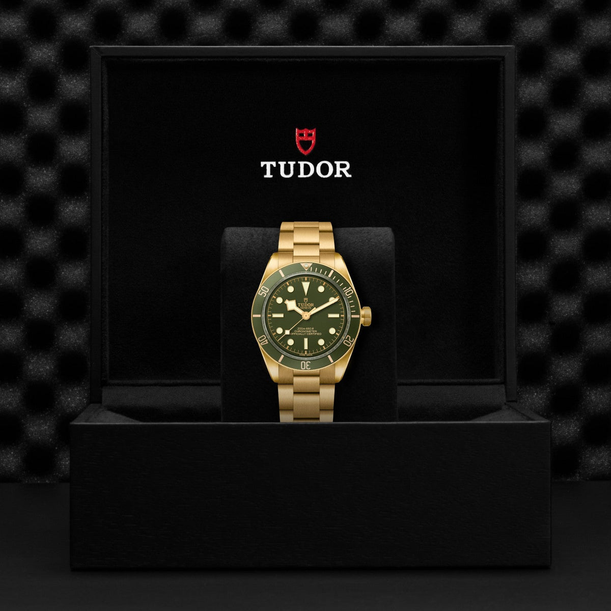 Tudor Black Bay 58 18K — photo 5 of 5