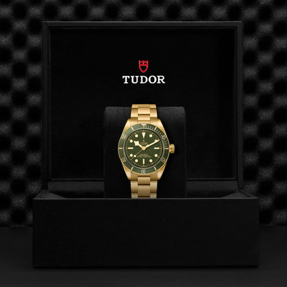 Tudor Black Bay 58 18K — photo 5 of 5