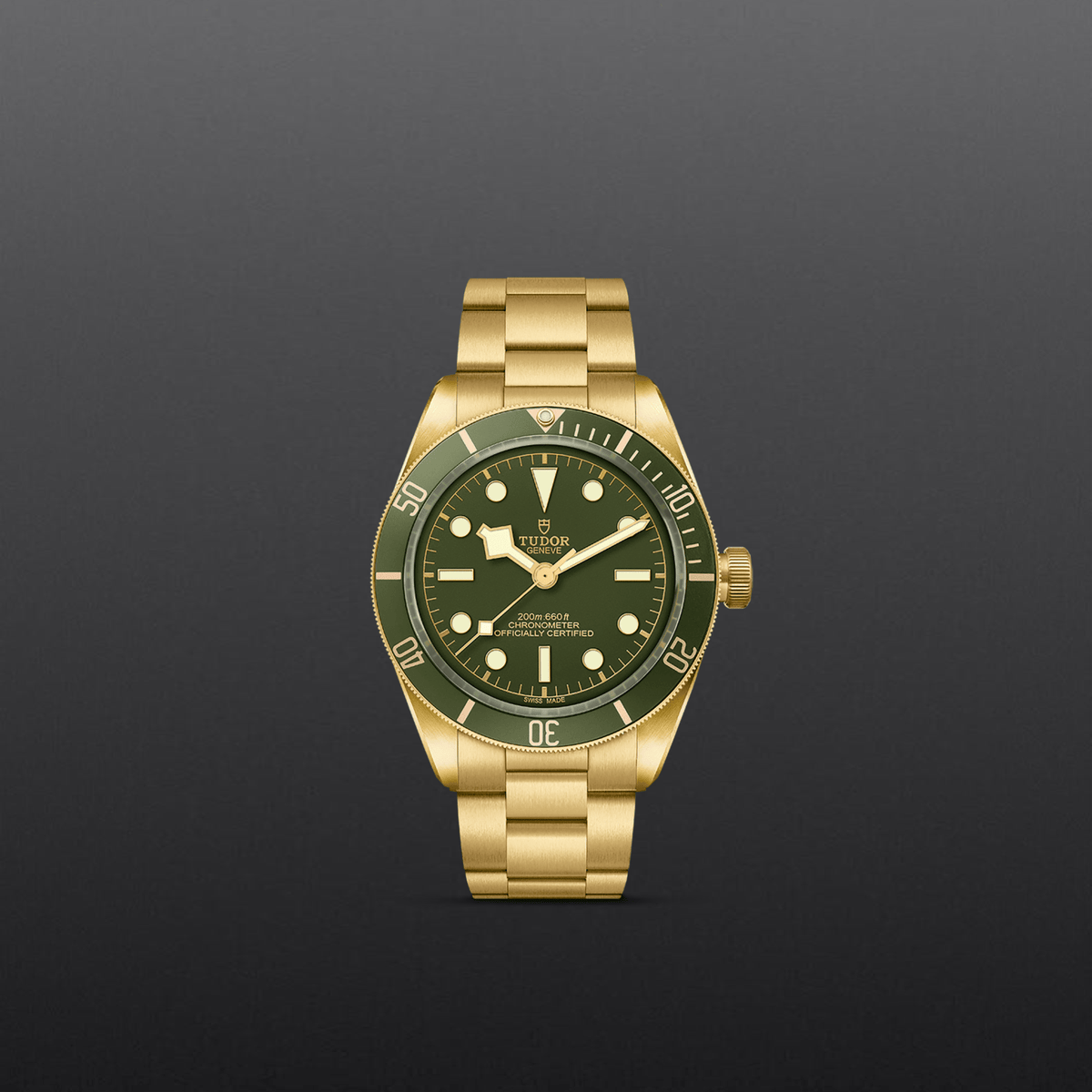 Tudor Black Bay 58 18K — photo 2 of 5