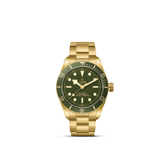 Tudor Black Bay 58 18K — photo 1 of 5
