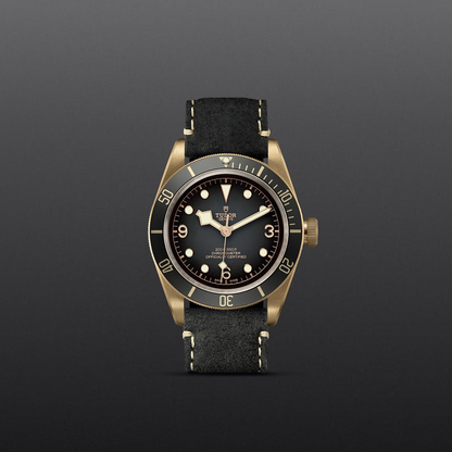 Tudor Black Bay BRONZE — photo 2 of 5