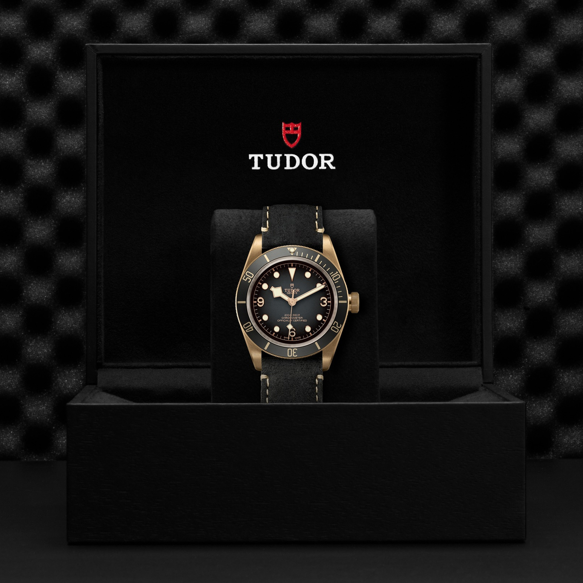 Tudor Black Bay BRONZE — photo 5 of 5