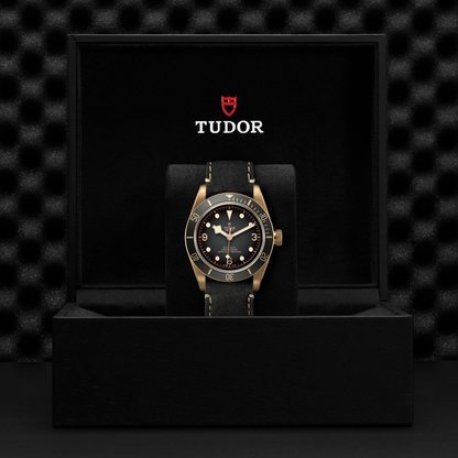 Tudor Black Bay BRONZE — photo 5 of 5