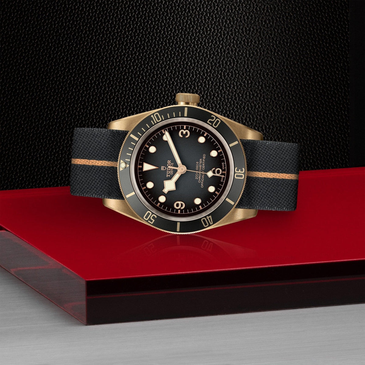 Tudor Black Bay BRONZE — photo 4 of 5