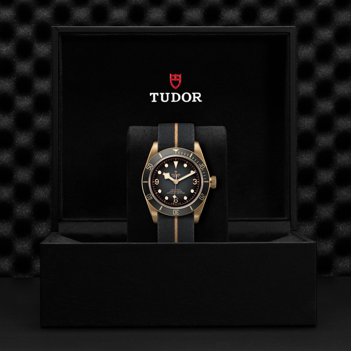 Tudor Black Bay BRONZE — photo 5 of 5