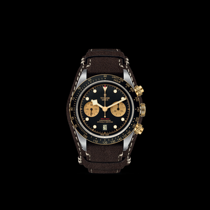 Tudor Black Bay Chrono S&G — photo 3 of 5
