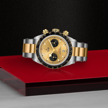 Tudor Black Bay Chrono S&G — photo 4 of 5