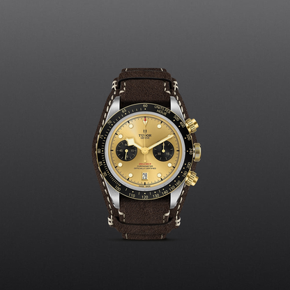 Tudor Black Bay Chrono S&G — photo 2 of 5