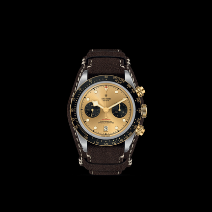 Tudor Black Bay Chrono S&G — photo 3 of 5