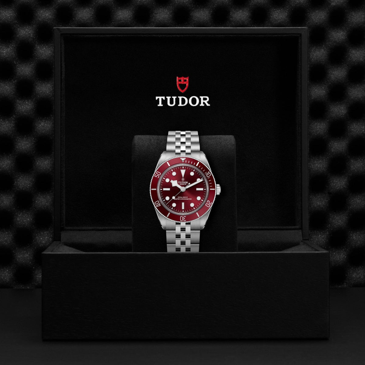 Tudor Black Bay 58 — photo 5 of 5