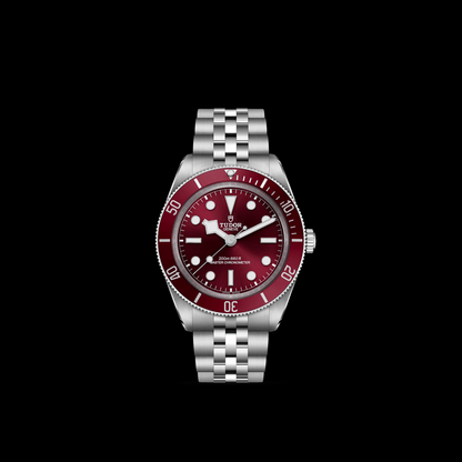 Tudor Black Bay 58 — photo 3 of 5