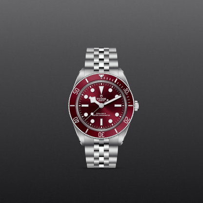 Tudor Black Bay 58 — photo 2 of 5