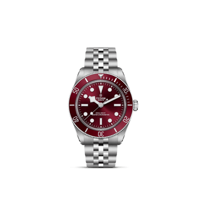 Tudor Black Bay 58 — photo 1 of 5