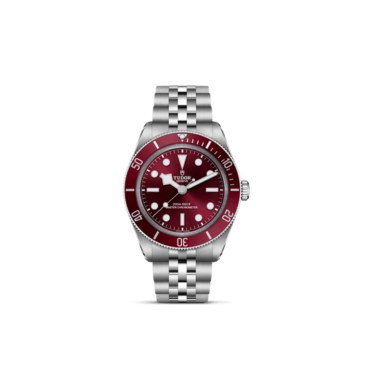 Tudor Black Bay 58 — photo 1 of 5