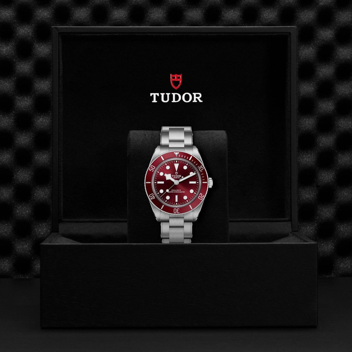 Tudor Black Bay 58 — photo 5 of 5