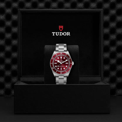 Tudor Black Bay 58 — photo 5 of 5