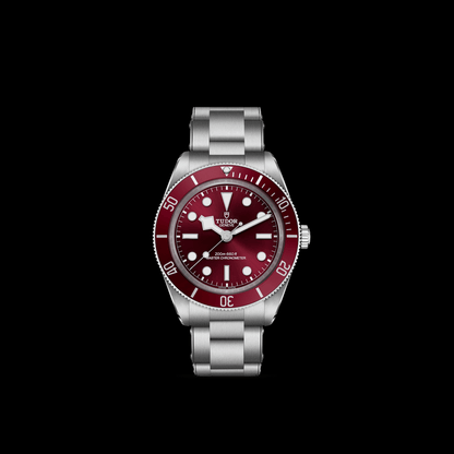 Tudor Black Bay 58 — photo 3 of 5