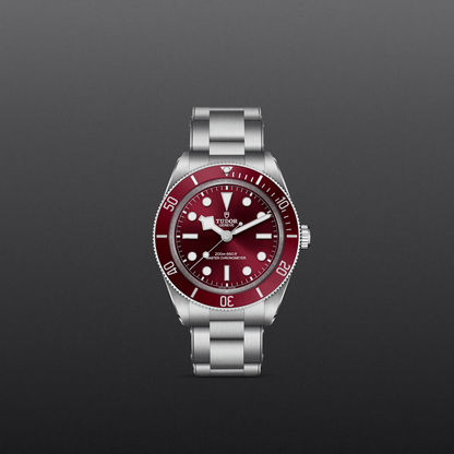 Tudor Black Bay 58 — photo 2 of 5