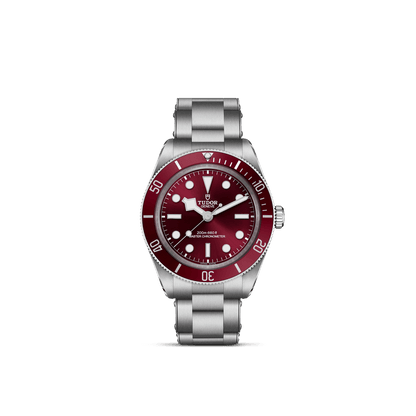 Tudor Black Bay 58 — photo 1 of 5