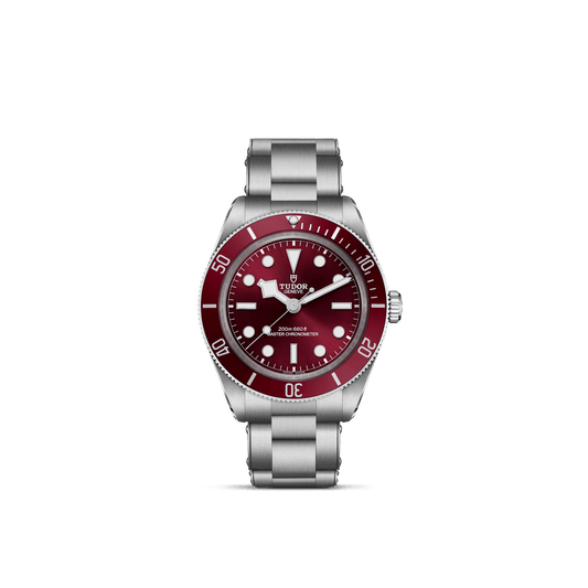 Tudor Black Bay 58 — photo 1 of 5